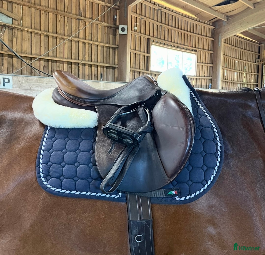 Sadlar hästutrustning till salu: Antares Classique i Valbo - Annons 1