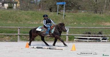  hästar i Listerby - Annons 2
