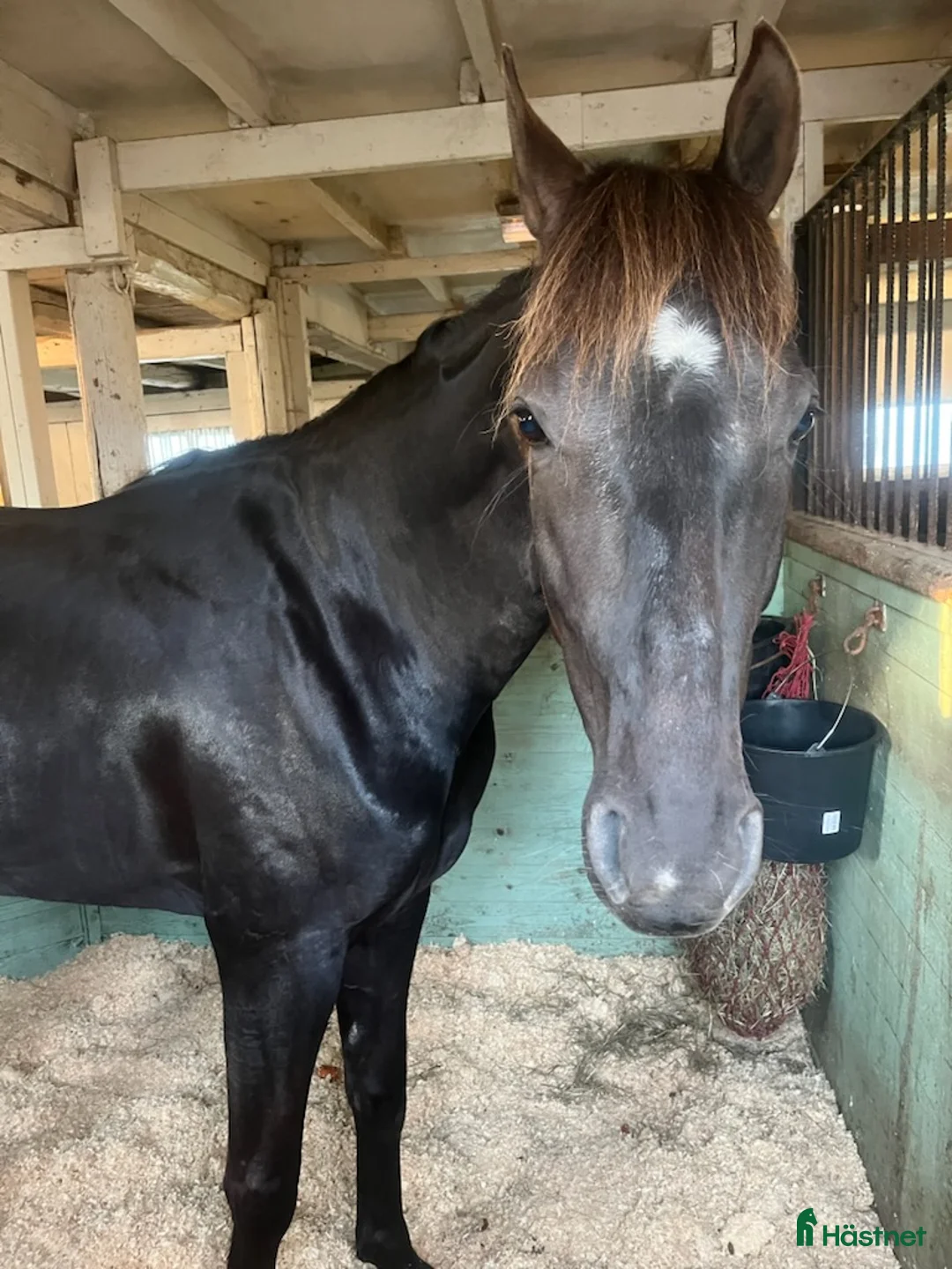 Galleribild {{count}}