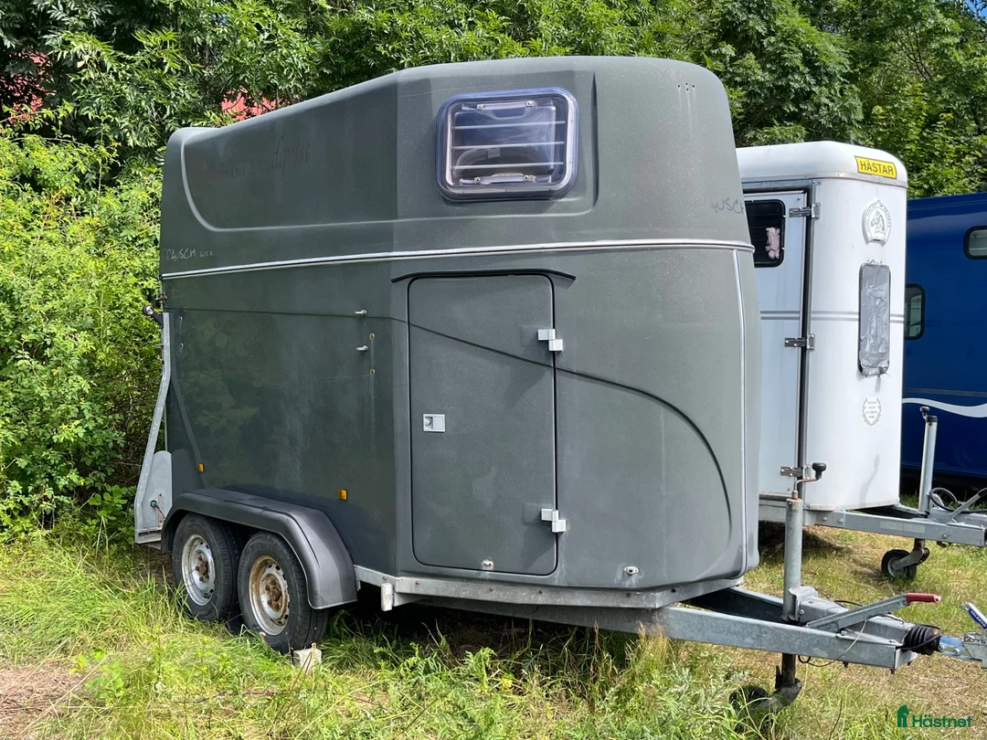 Hästtransporter  fordon & transport till salu: Hästsläp Rausch Elite XL i Tungelsta - Annons 9