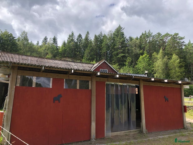 stallplats i Ucklum - Annons 6