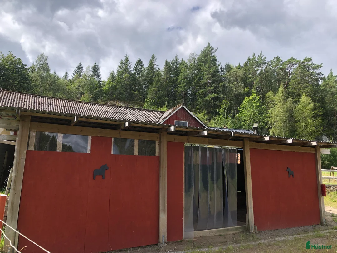  stallplats finnes: Lösdrift med flera Ligghallar - Annons 1