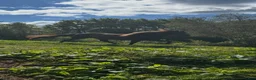 Island hästar till salu: Vackert islandssto - Annons 1