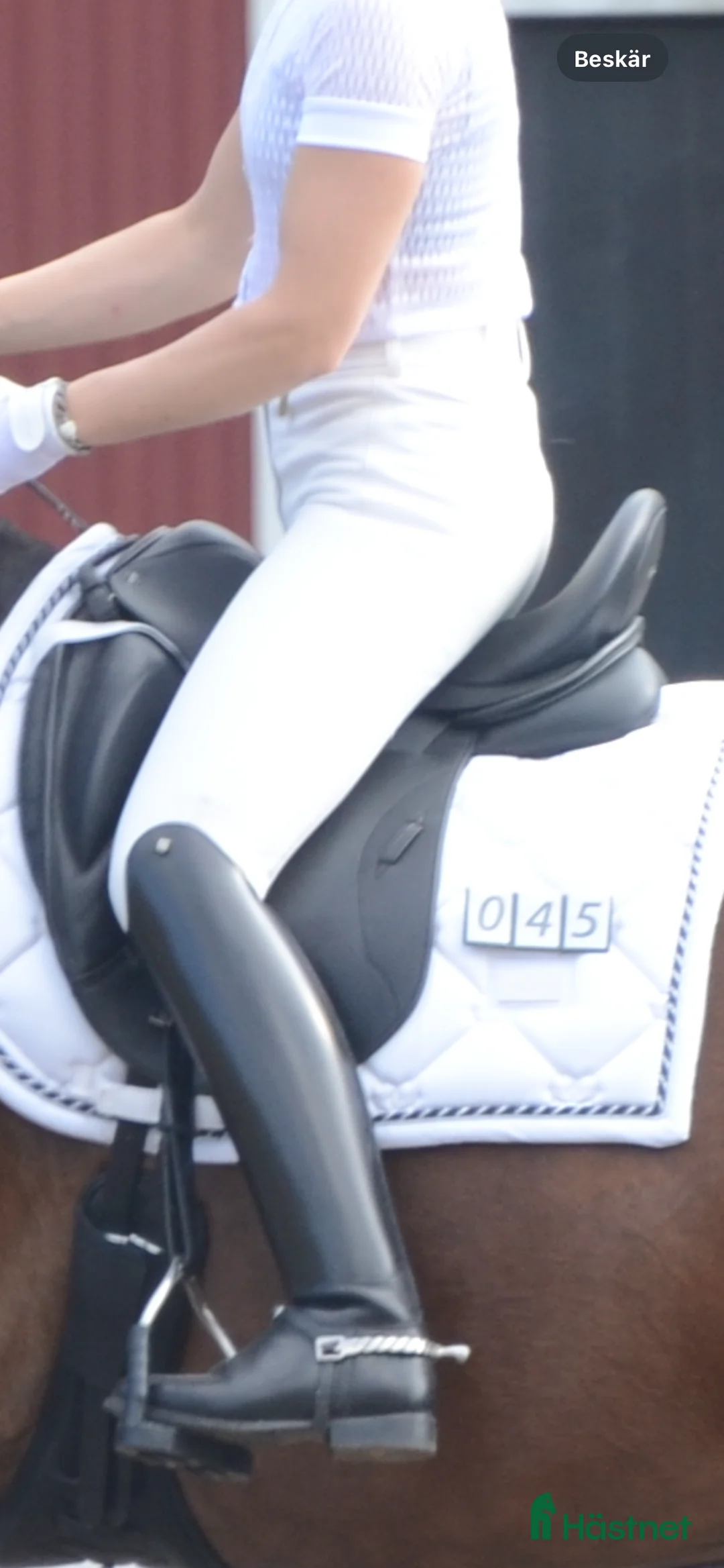 Sadlar hästutrustning till salu: Sadel till den högställda hästen - Annons 2