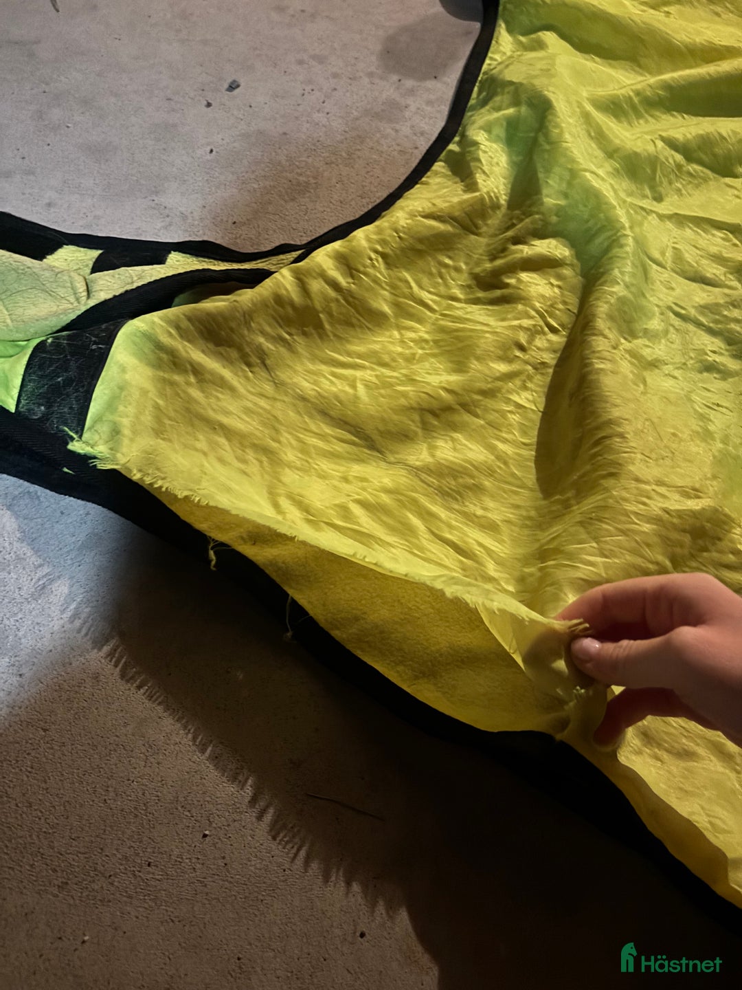 Täcken hästutrustning till salu: Billiga täcken ‼️ i Tyresö - Annons 9