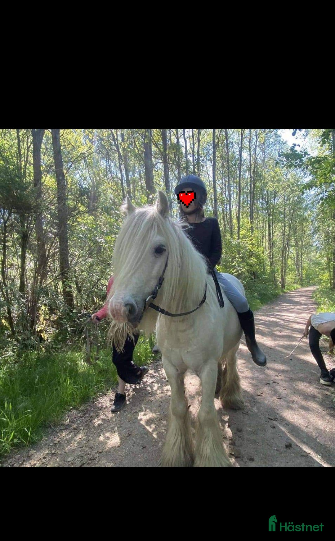 Övrigt hästar till salu: Supertrygg b ponny, även är lämplig för verksamhet i Säve - Annons 13