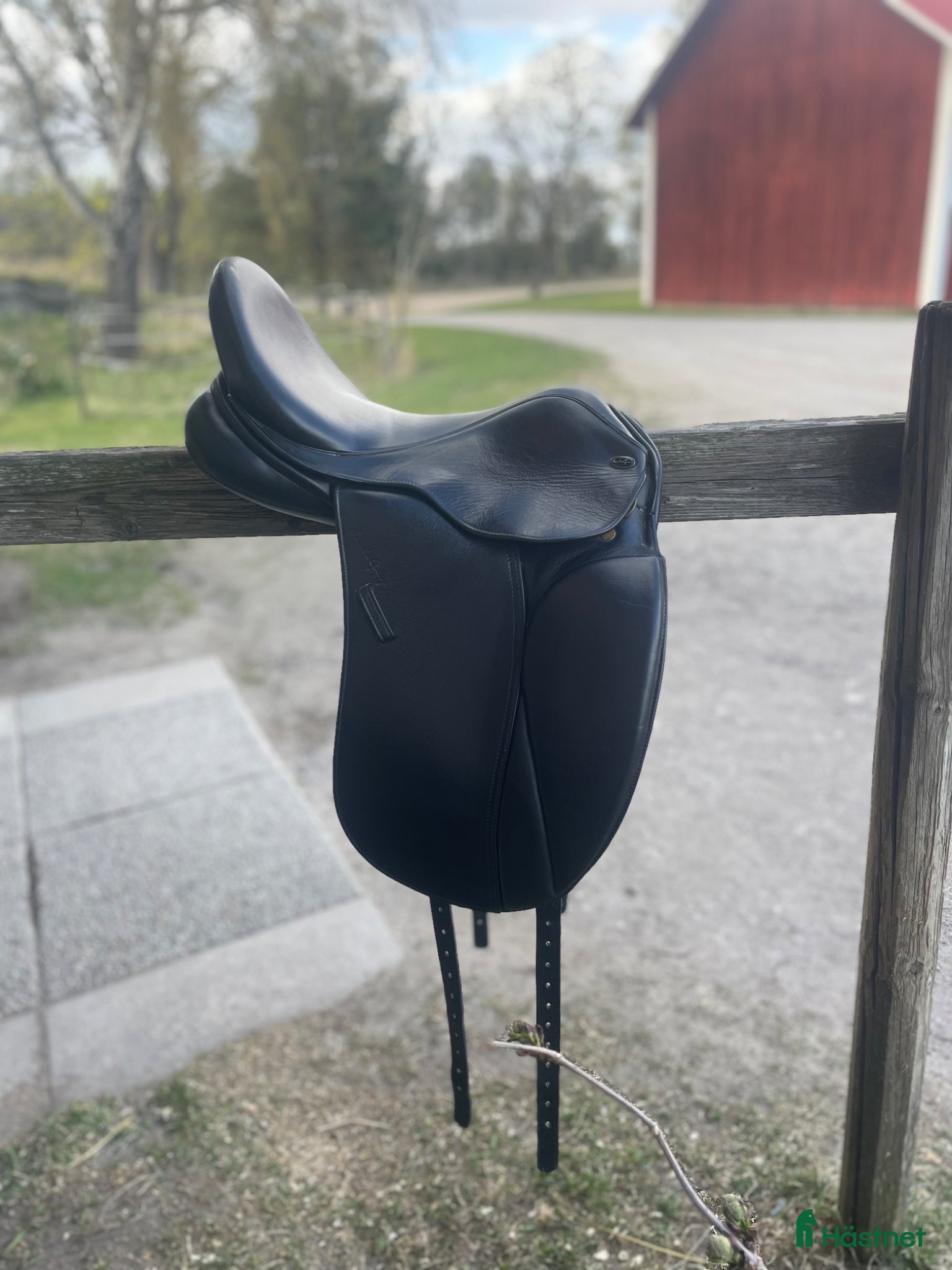 Sadlar hästutrustning Santa Cruz dressyrsadel⭐️ - Annons 8