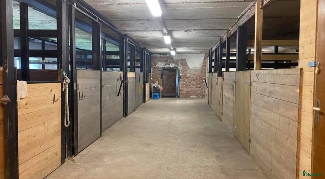  stallplats finnes: Lösdriftplats i Heby i Heby - Annons 4