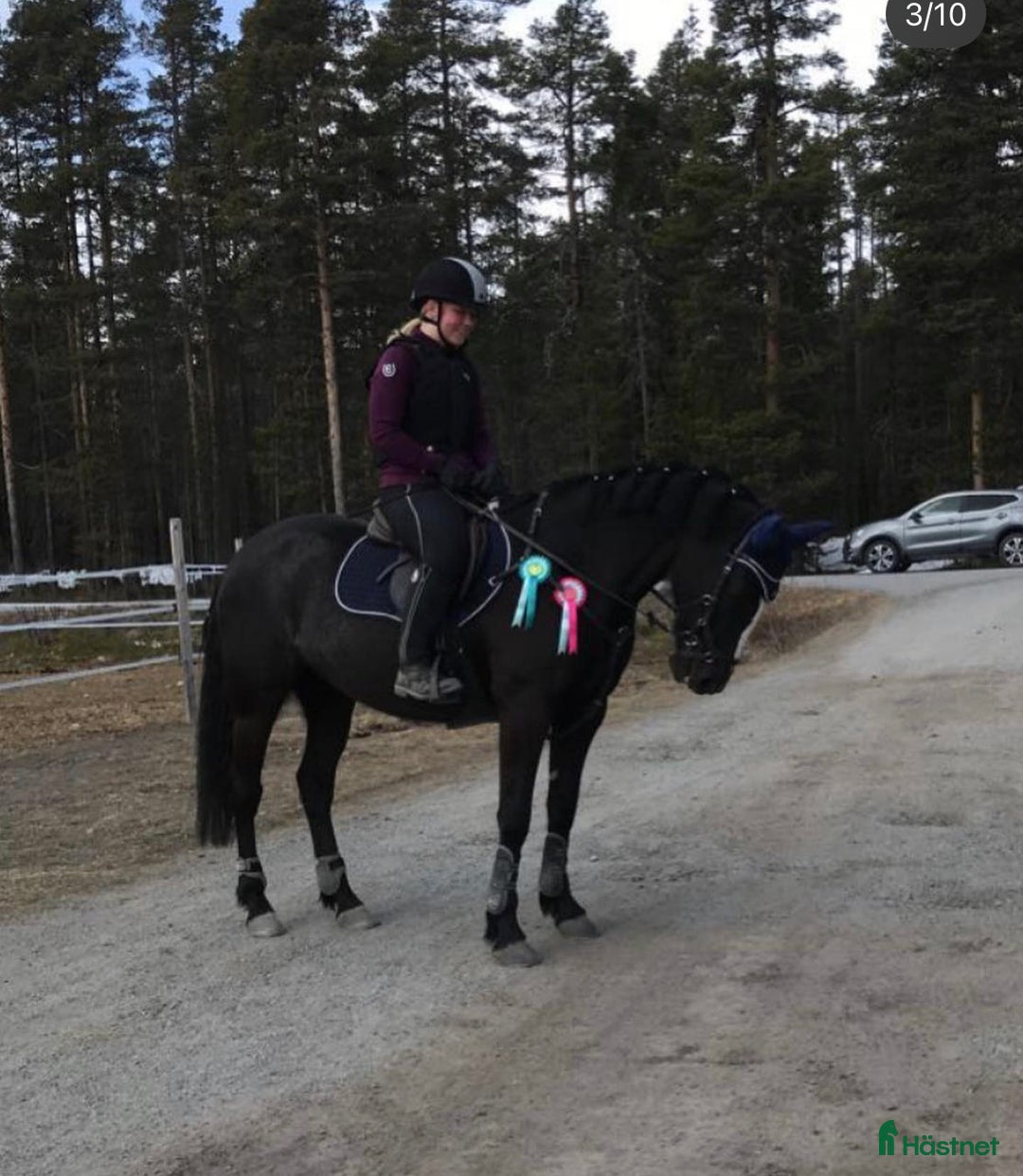 Allround hästar till salu: Intressekoll, D-ponny i Stensele - Annons 5