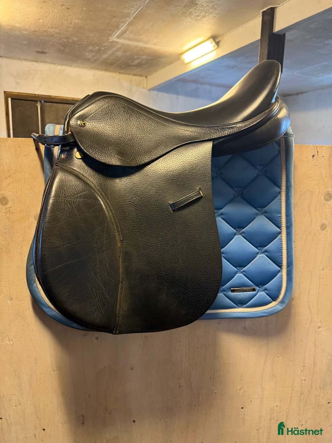 Sadlar hästutrustning till salu: Santa Cruz Sabine  i Åseda - Annons 1