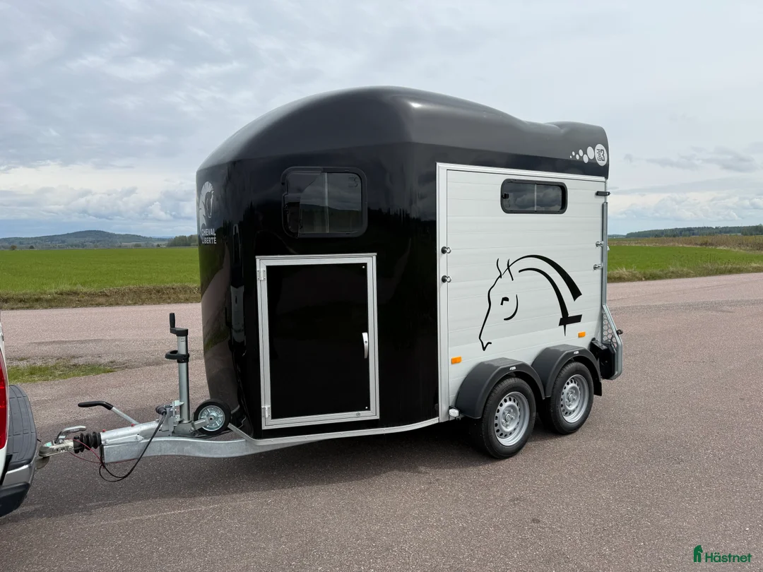 Hästtransporter  fordon & transport till salu: Cheval Gold3 -25 i Borlänge - Annons 2