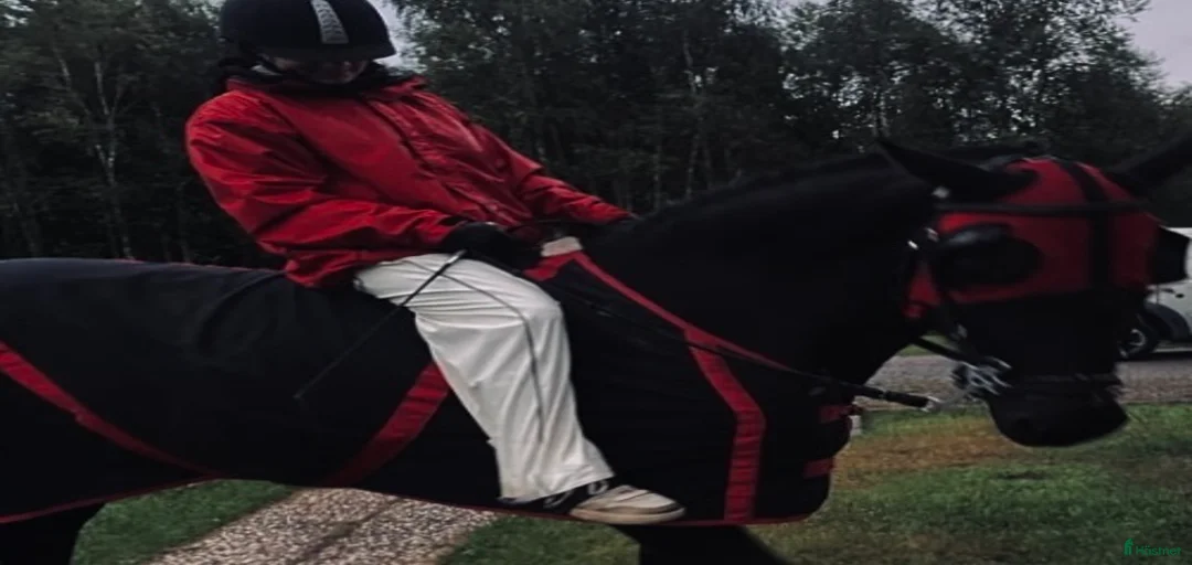 Galleribild {{count}}