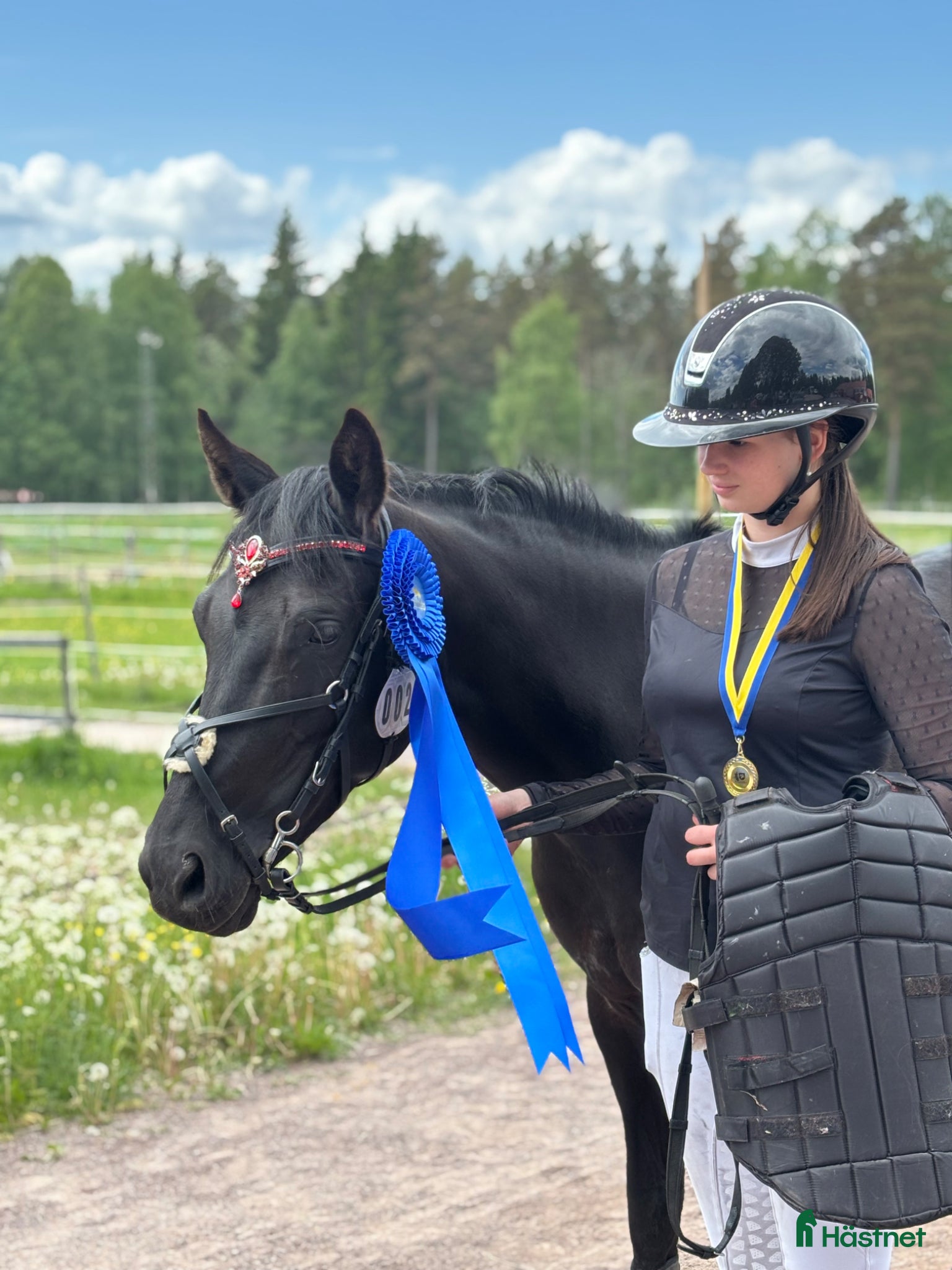 Allround hästar till salu: Trevligt allroundsto i Malung - Annons 3