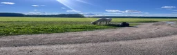  medryttarhäst finnes: Bästa terapihästen för barn  - Annons 2