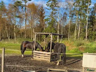 stallplats Ledig box I mysigt stall I sandared - Annons 1