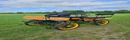 Körvagnar körning till salu: Wagonette  - Annons 3