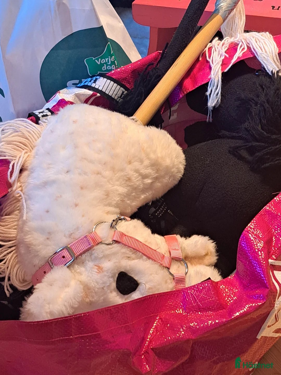 Schabrak & Vojlockar hästutrustning till salu: Käpphästar till salu - Annons 1