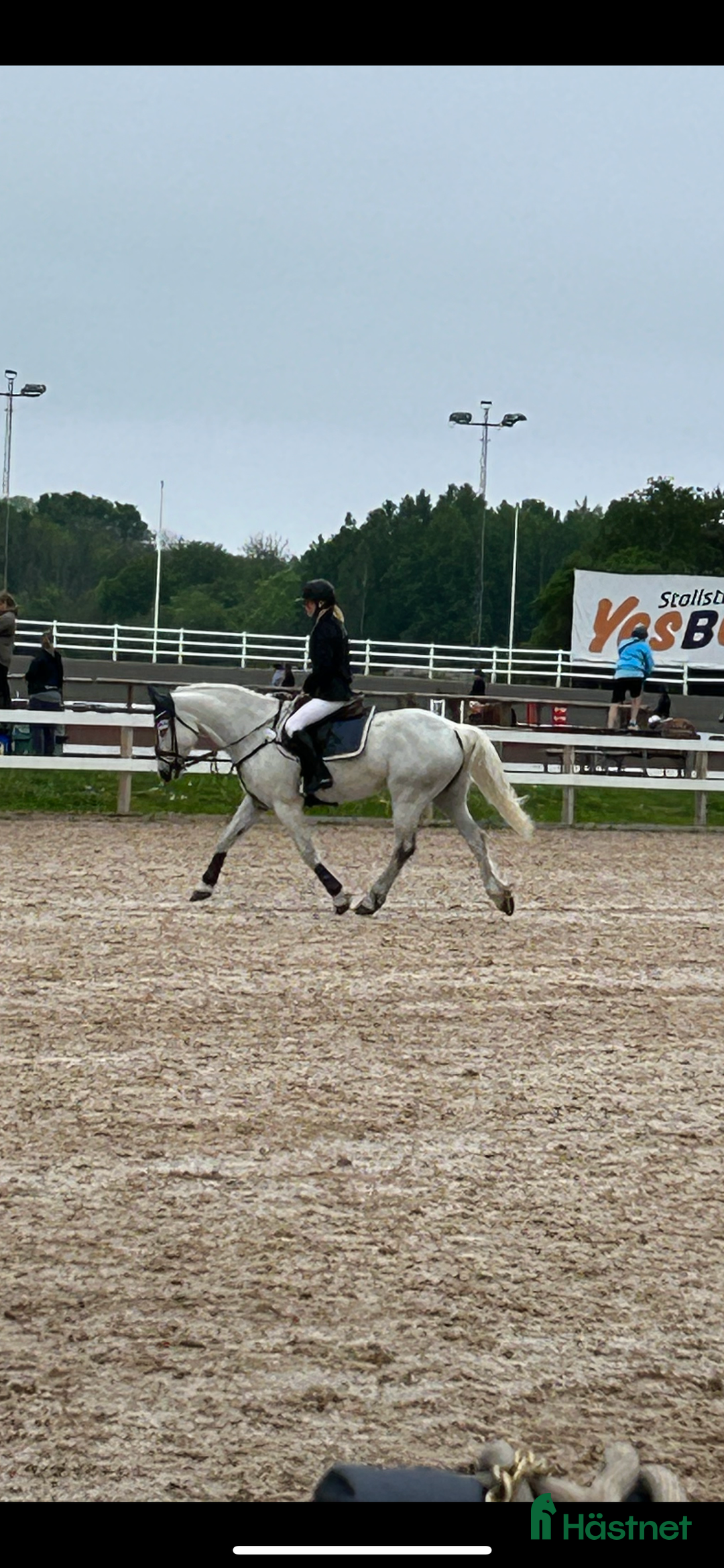  hästservice finnes: Ponnier mottages för träning/tävling/inridning i Björklinge - Annons 4