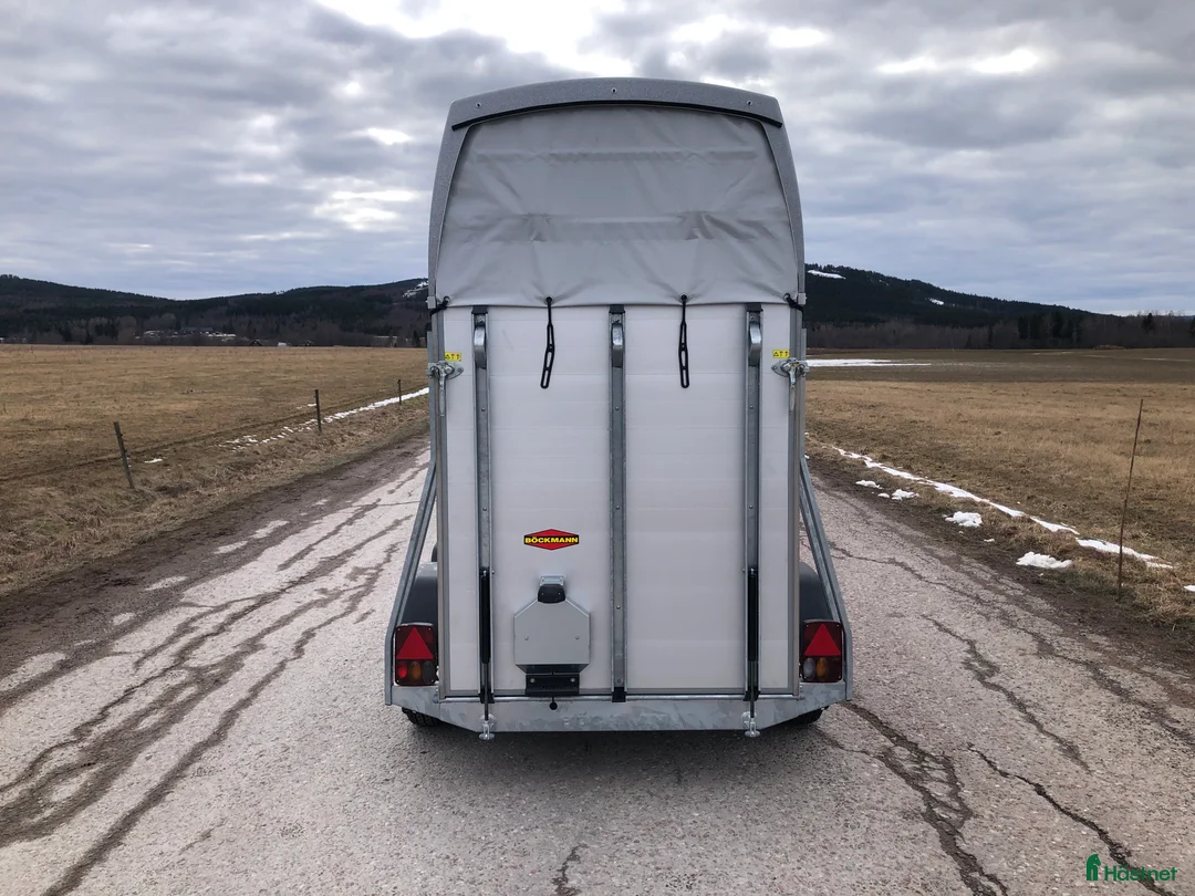 Hästtransporter  fordon & transport till salu: Böckmann Champion UNO 1,5 hästars - Kampanj! - Annons 5