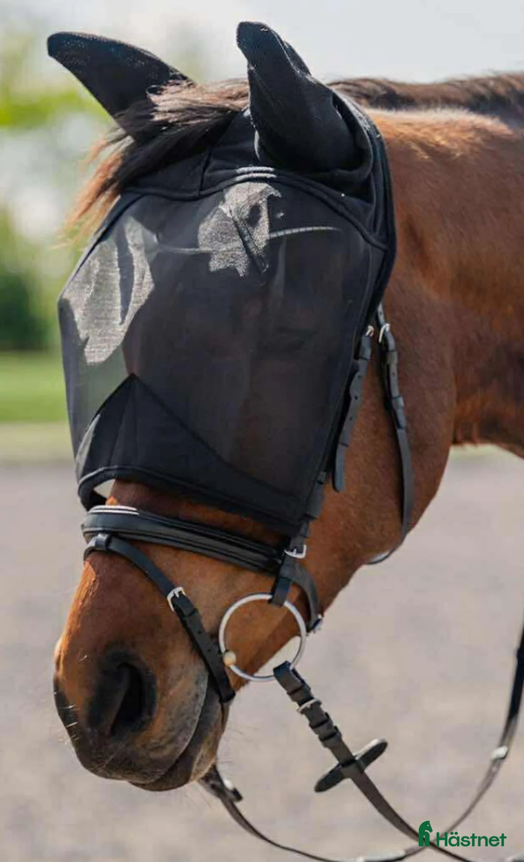 Övrig Hästutrustning hästutrustning till salu: Flughuvor - Annons 2