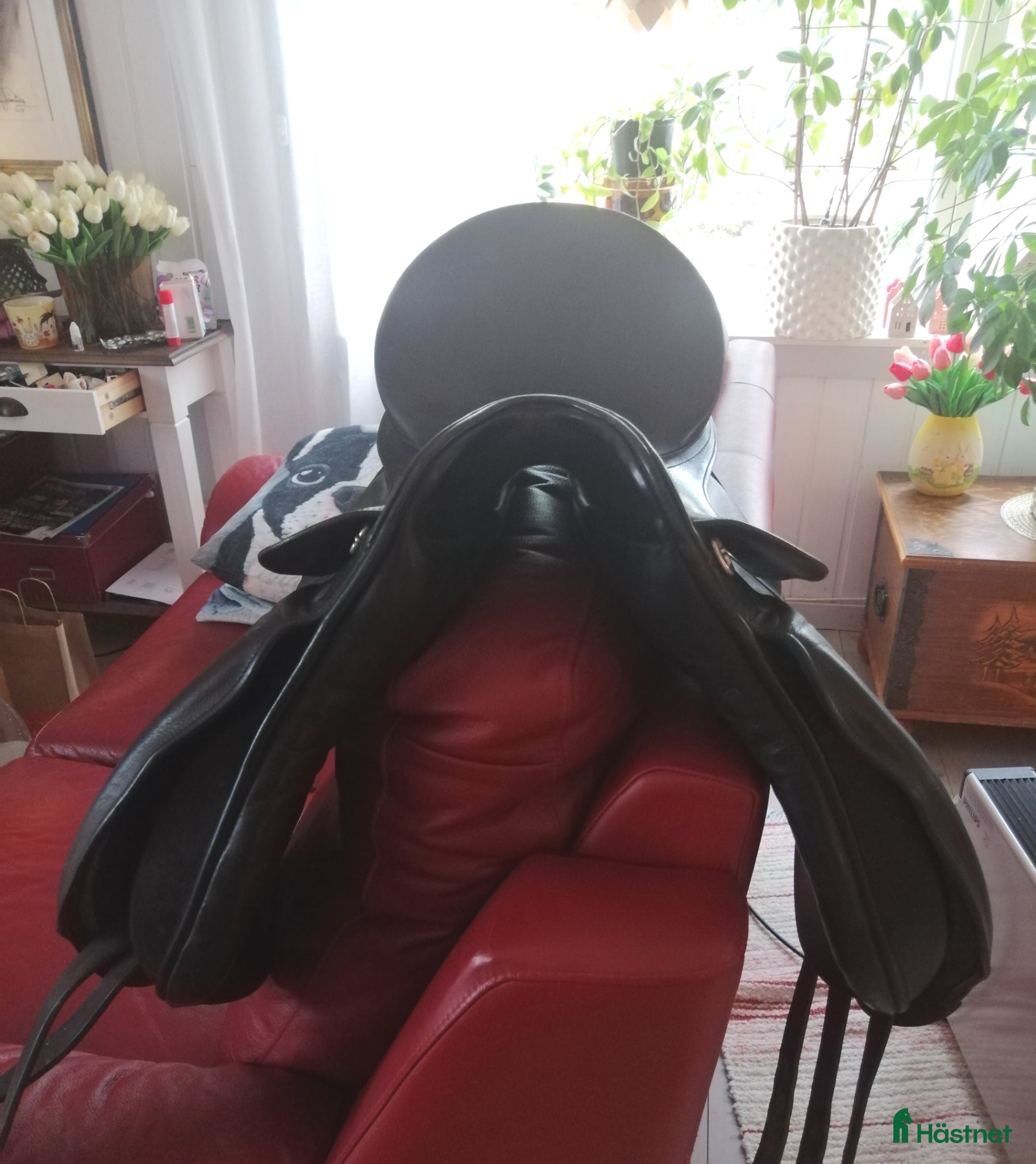 Sadlar hästutrustning Begagnad dressyrsadel - Annons 2