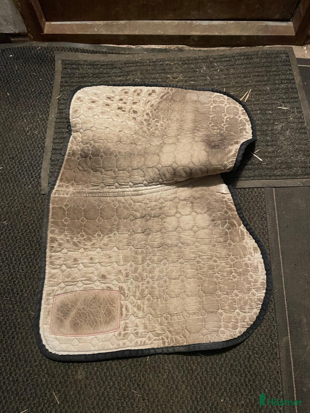 Schabrak & Vojlockar hästutrustning till salu: Equiline schabrak  i Ödåkra - Annons 4