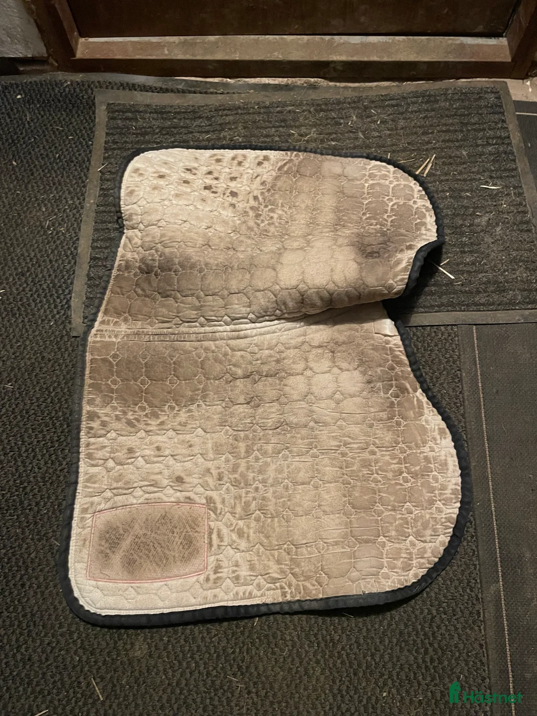 Schabrak & Vojlockar hästutrustning till salu: Equiline schabrak SÅLT - Annons 4