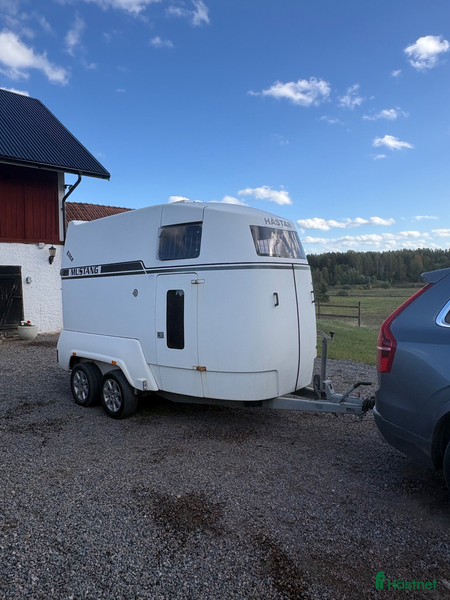 Hästtransporter  fordon & transport till salu: Hästtransport Mustang Elite i fint skick! - Annons 3