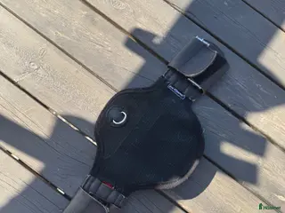 Sadeltillbehör hästutrustning ELT Dressyrgjord - Annons 1