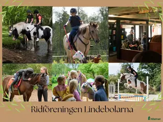 hästjobb Ridlärare sökes - Annons 2