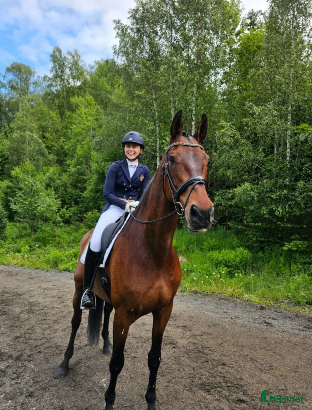 Dressyr hästar till salu: Høyreist dressurhest (Inter 1) i Halden - Annons 3
