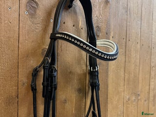 Träns hästutrustning till salu: Rundsytt kandar med lackad nosgrimma i Hofors - Annons 19