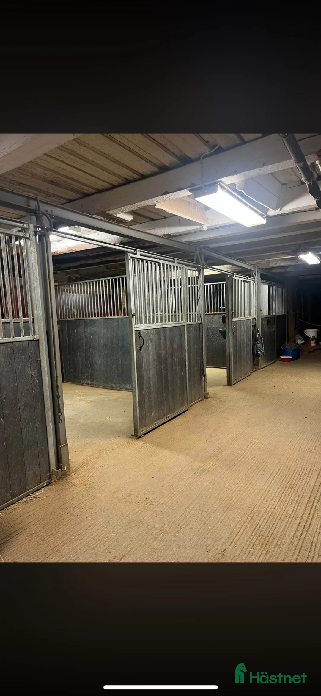  stallplats finnes: Platser lediga i mysigt litet stall  - Annons 2