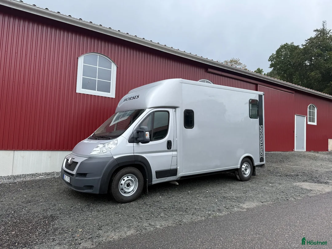 Hästlastbilar  fordon & transport till salu: Theault firsteo 2013  299900kr  - Annons 2