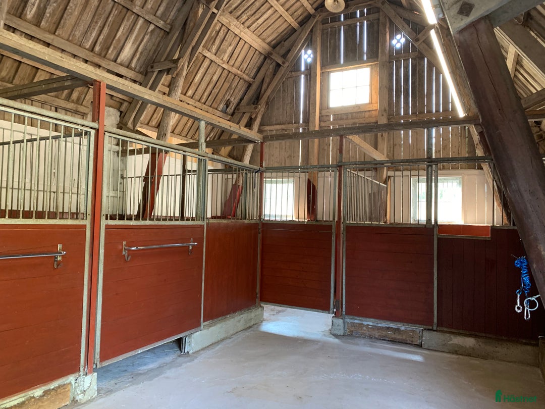  stallplats finnes: Ledig boxplats i Tungelsta - Bild 4