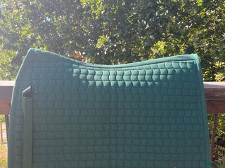 Schabrak & Vojlockar hästutrustning till salu: Dressyrschbrak full nyskick i Bullaren - Annons 2