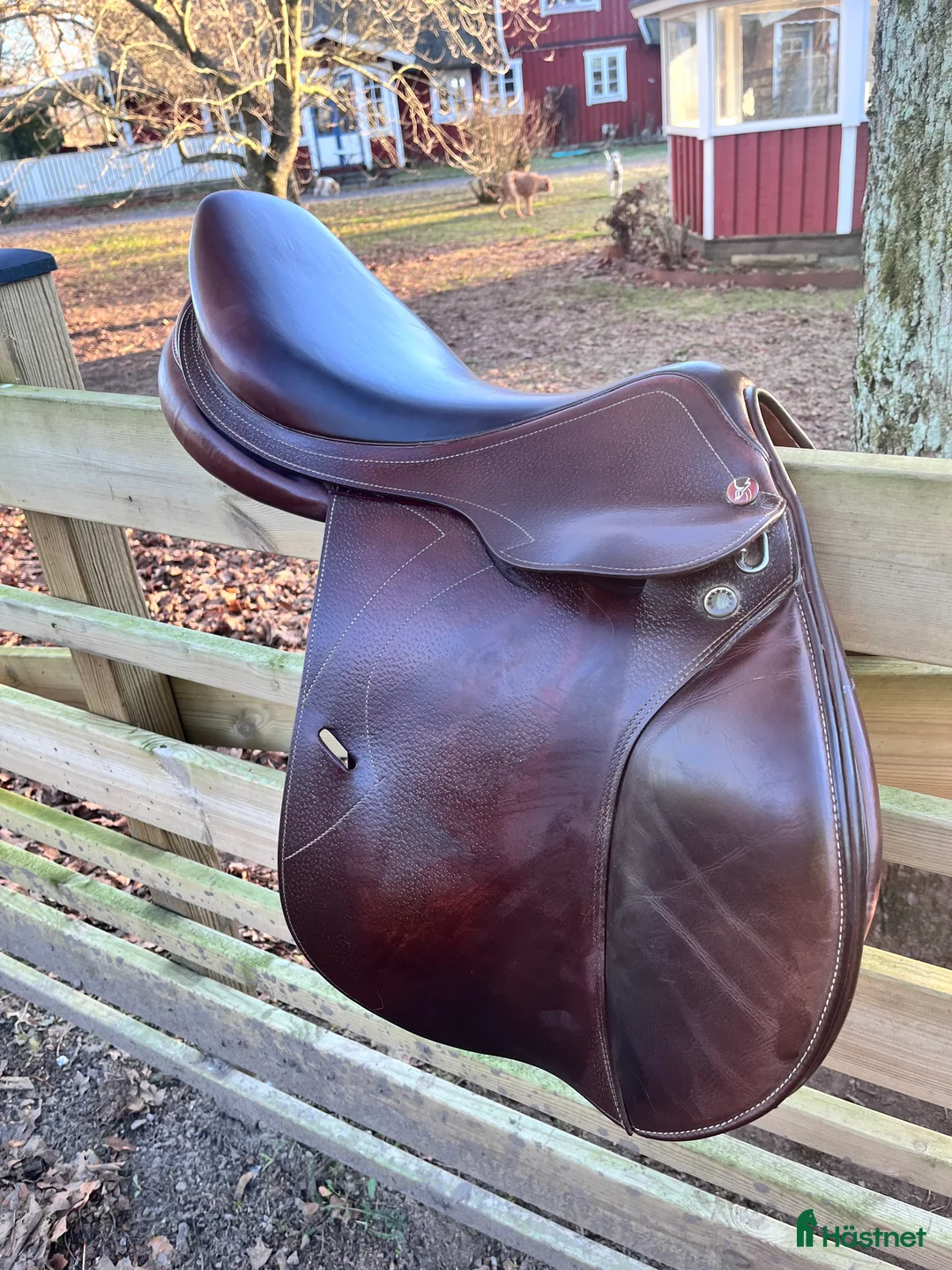 Sadlar hästutrustning till salu: Prestige versialles  - Annons 2