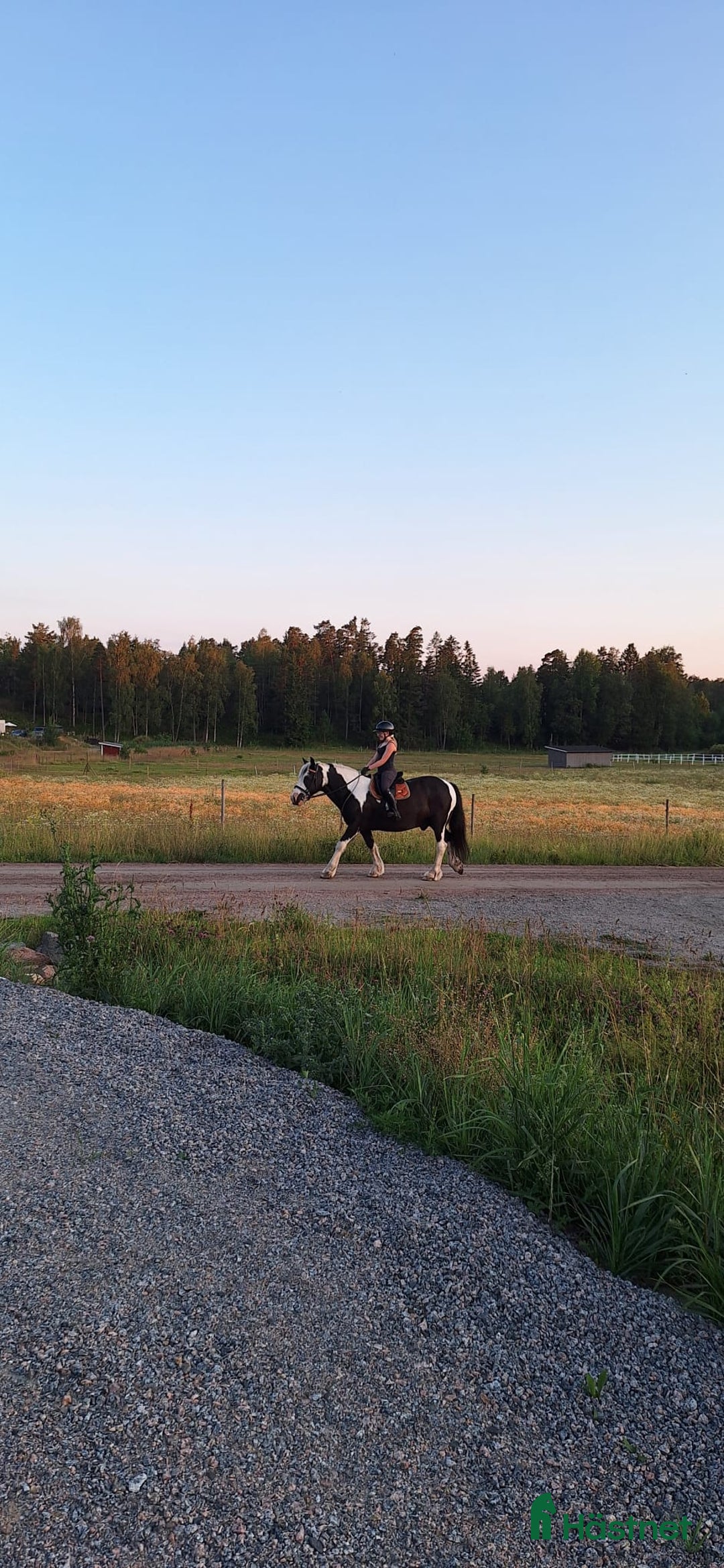 Schabrak & Vojlockar hästutrustning till salu: EQUESTRIAN STOCKHOLM  i Ljusterö - Annons 4