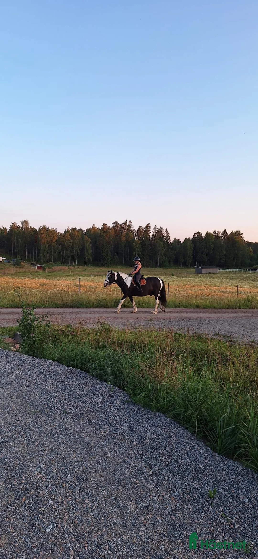 Schabrak & Vojlockar hästutrustning till salu: EQUESTRIAN STOCKHOLM  i Ljusterö - Annons 4
