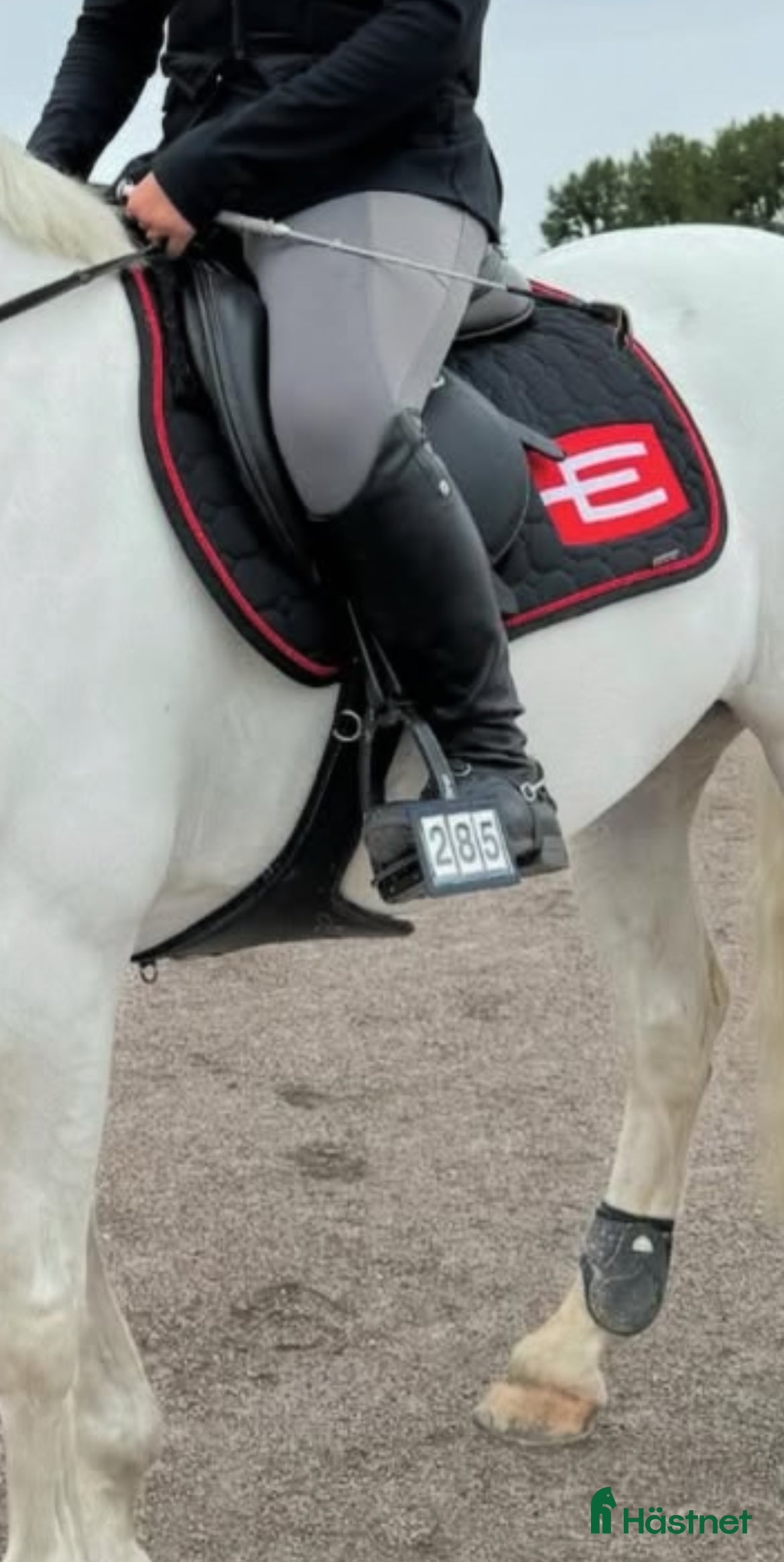 Schabrak & Vojlockar hästutrustning Rött e logga schabrak  - Annons 1