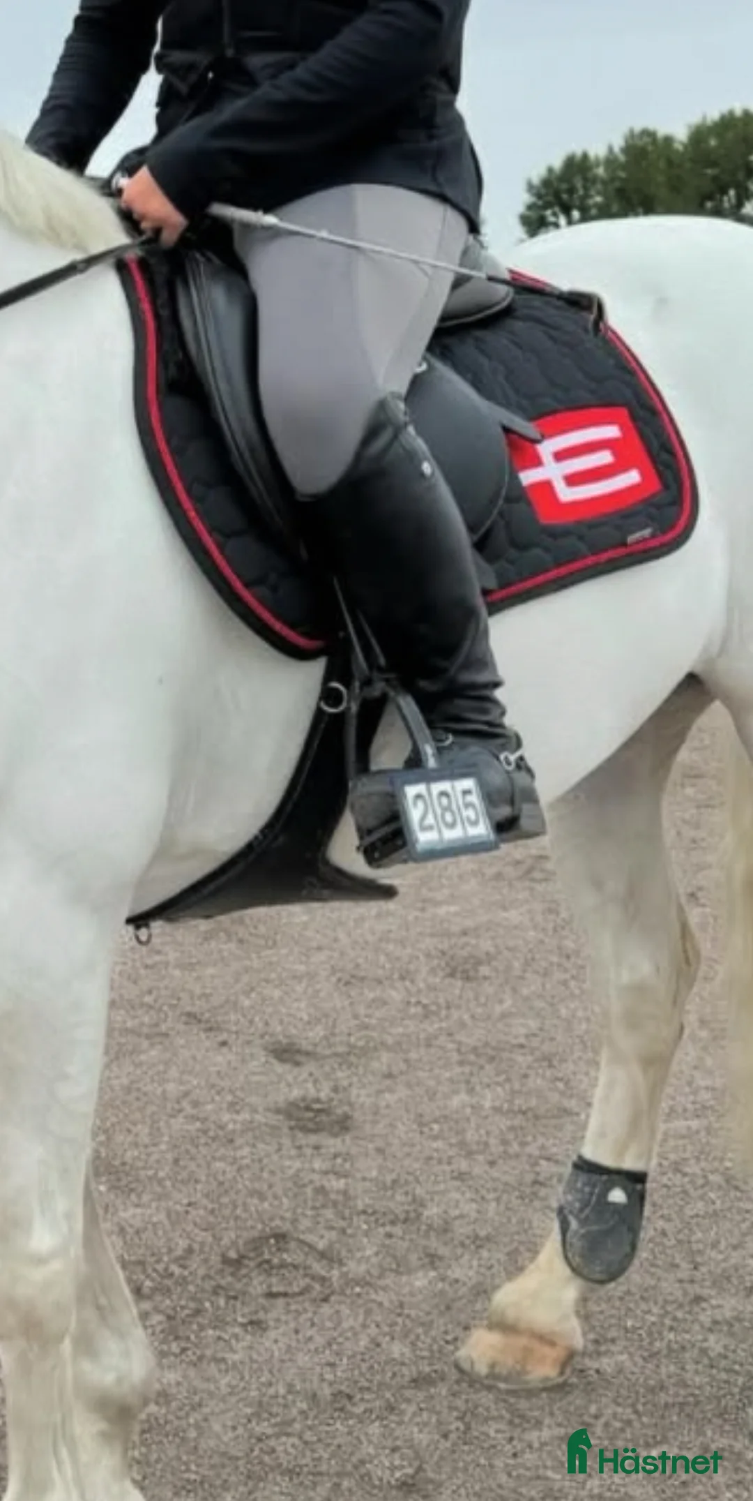 Schabrak & Vojlockar hästutrustning till salu: Rött e logga schabrak  i Norrala - Annons 1