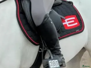 Schabrak & Vojlockar hästutrustning Rött e logga schabrak - Annons 1