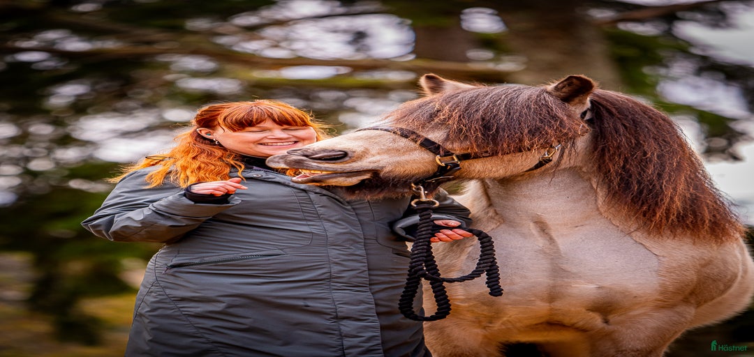 Galleribild {{count}}