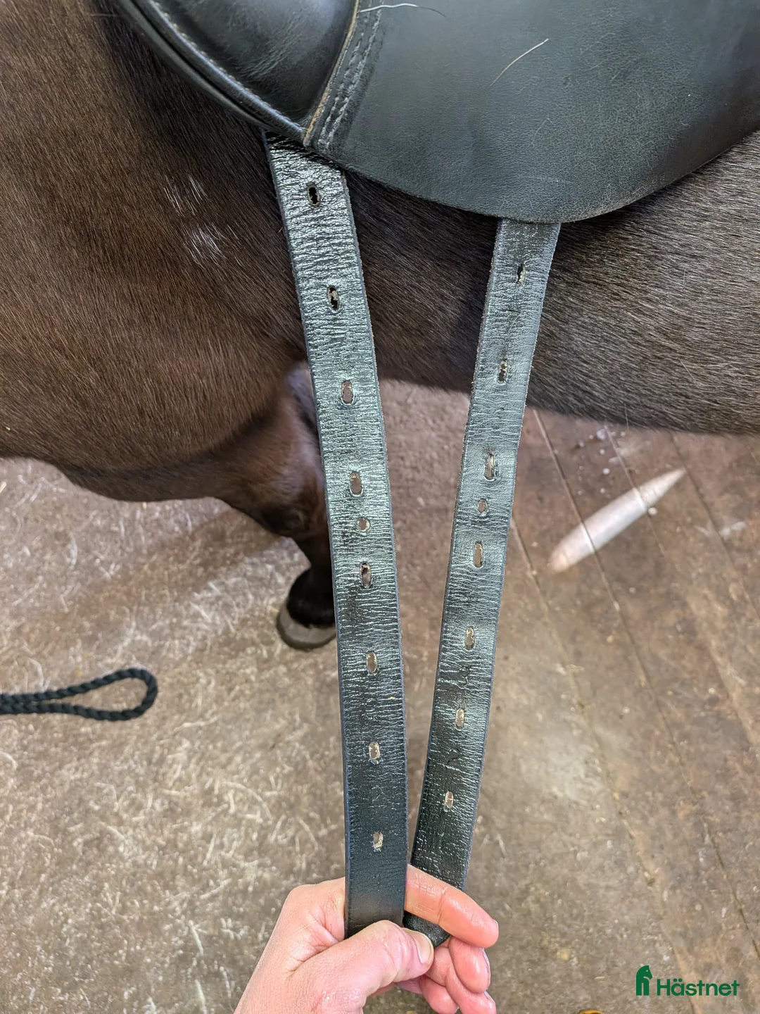 Sadlar hästutrustning till salu: Prestige Lucky Dressage  - Annons 2