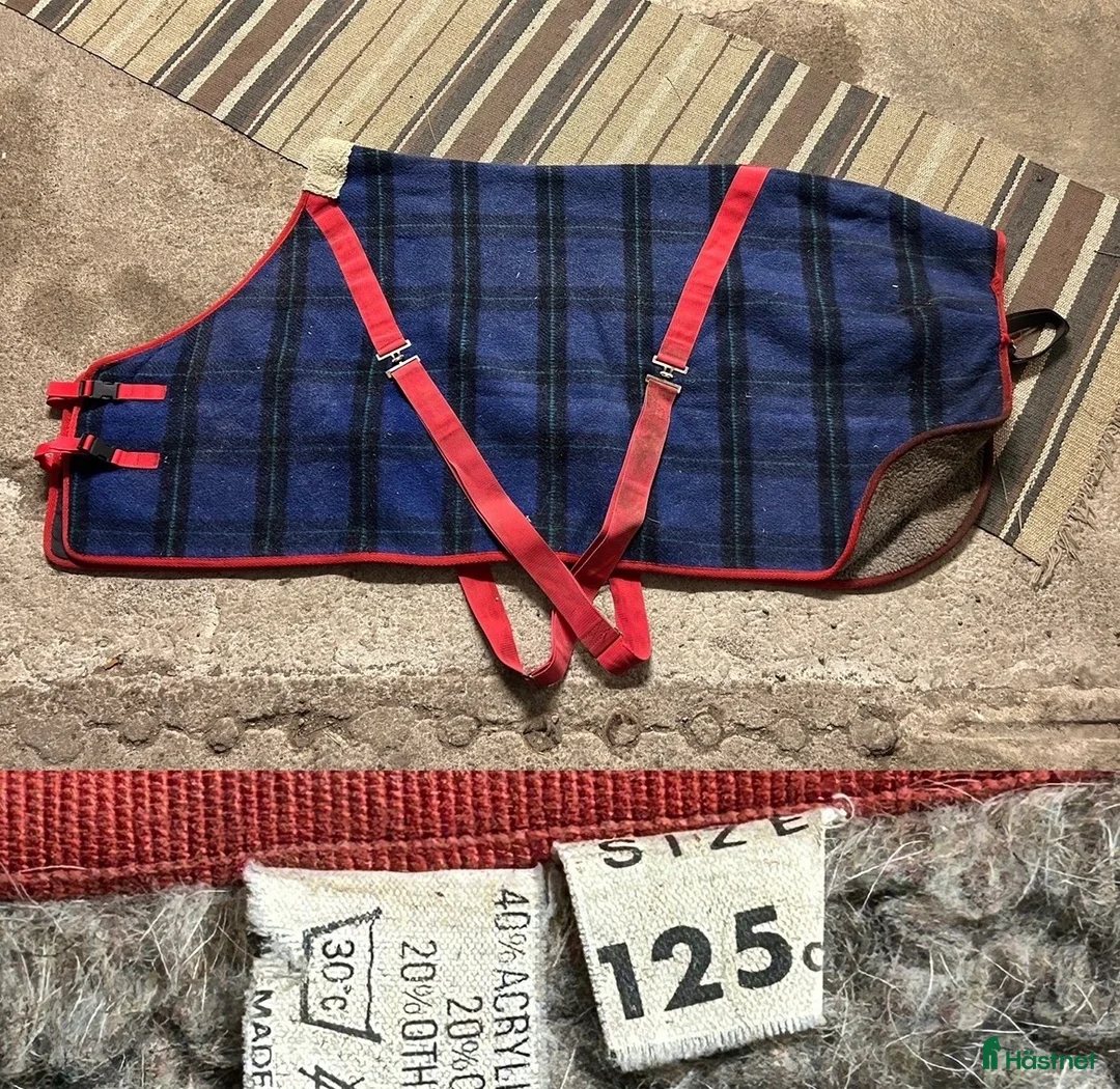 Täcken hästutrustning till salu: Stalltäcke 125 - Annons 1