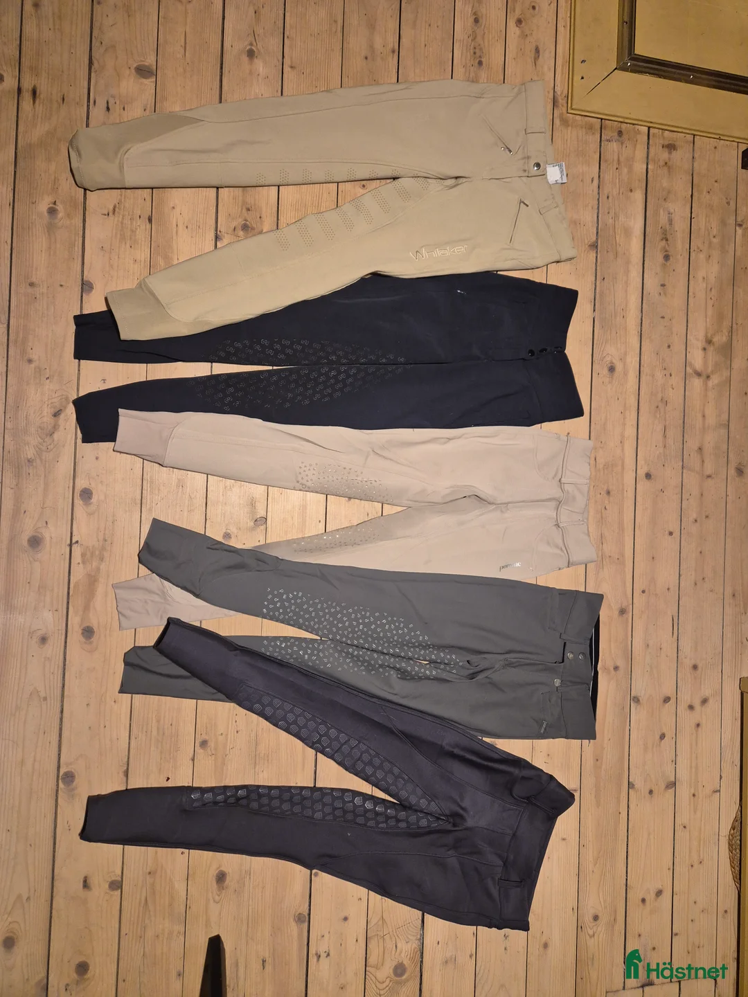 Ridbyxor ryttarutrustning till salu: Maya delorez, pomme, PS of sweden ridbyxa i Sölvesborg - Annons 1