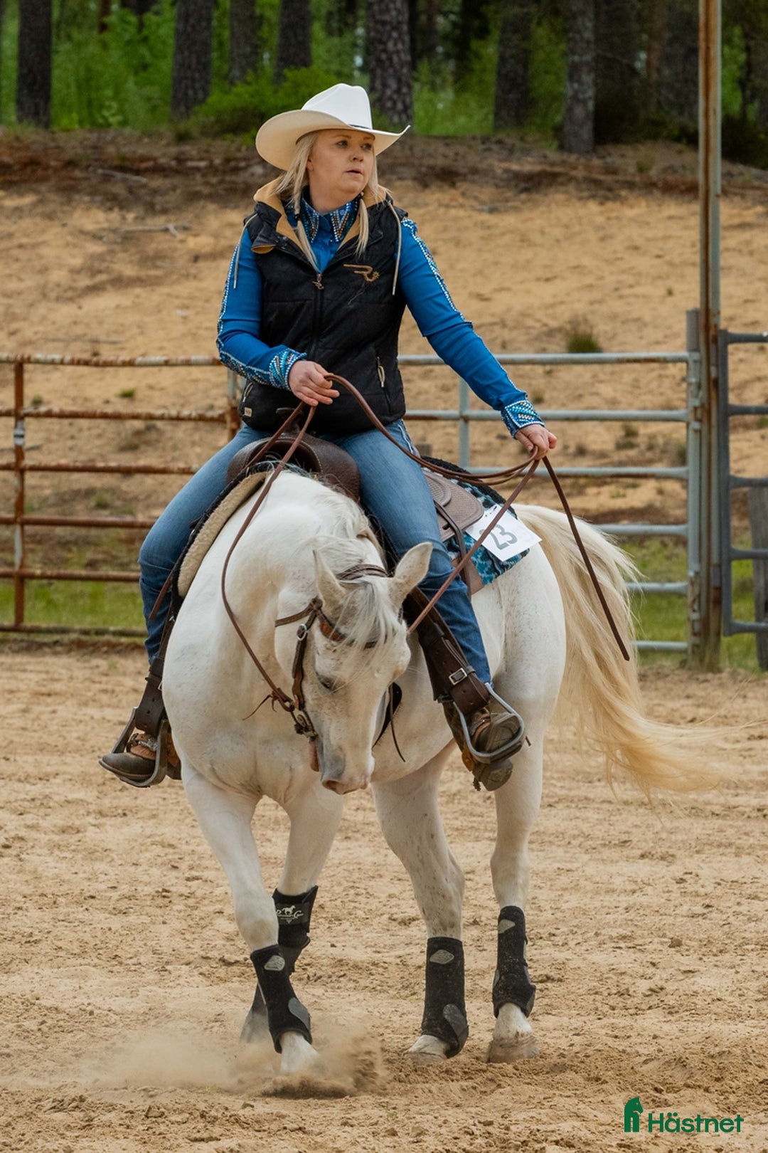 Western hästar till salu: Lovande tävlingshäst, nybesiktigad ua 18/10 i Broddetorp - Annons 5
