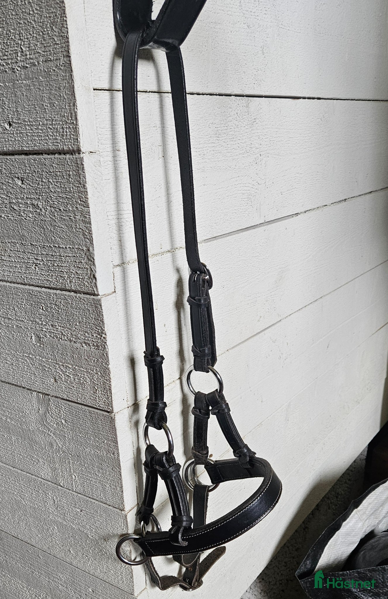 Träns hästutrustning Fint sidepull storlek Cob - Annons 1