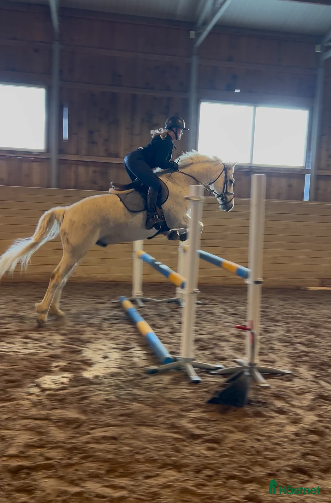 Hoppning hästar till salu: Rolig allroundponny i Norrköping - Annons 3