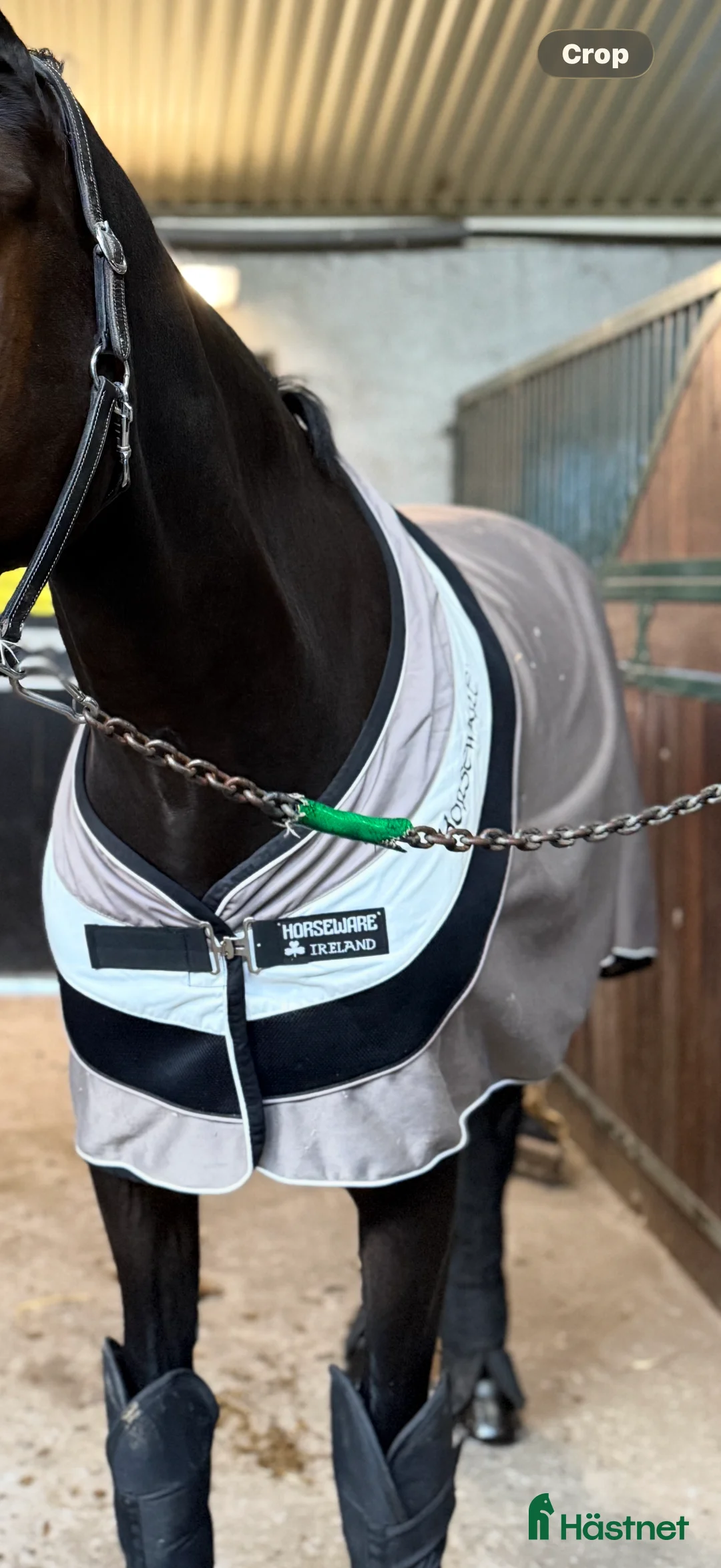 Täcken hästutrustning till salu: Horseware täcke  i Höllviken - Annons 2